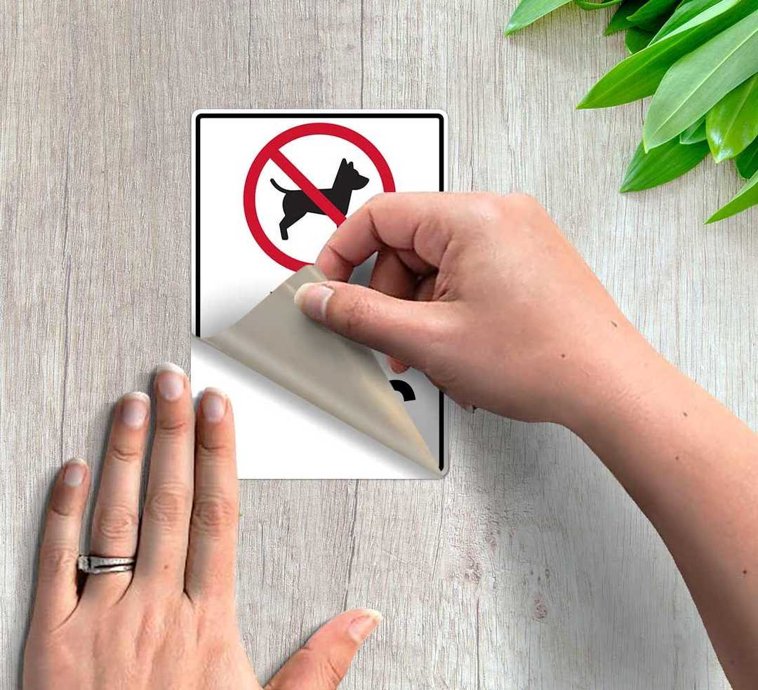 No Dogs Allowed Decal (Non Reflective)