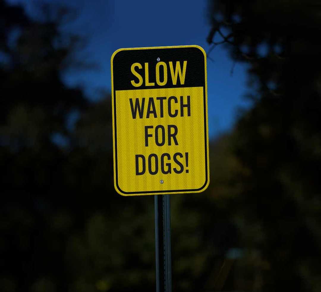 Slow, Watch For Dogs Aluminum Sign (EGR Reflective)