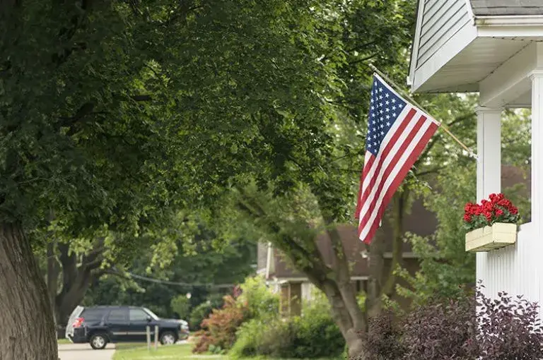 Custom Flags